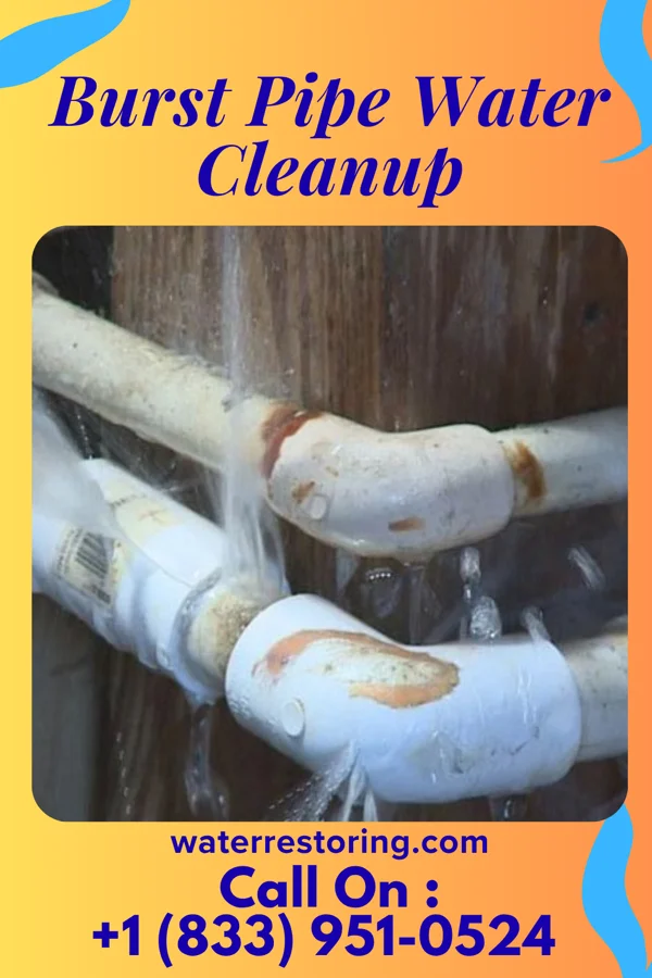 Burst Pipe Water Cleanup in Wareham Center, MA