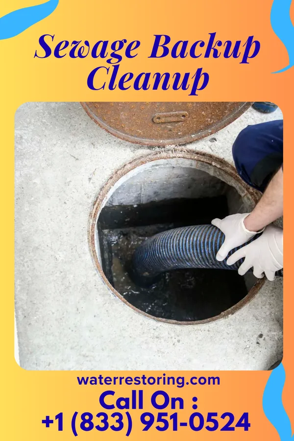 Sewage Backup Cleanup in Wareham Center, MA